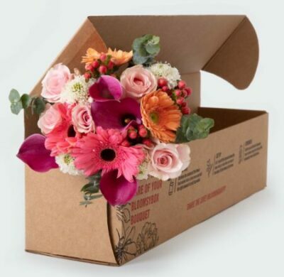 Bloomsy-Box